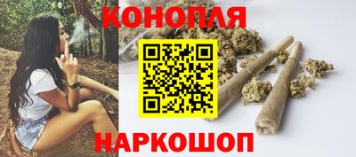 гидра Бийск