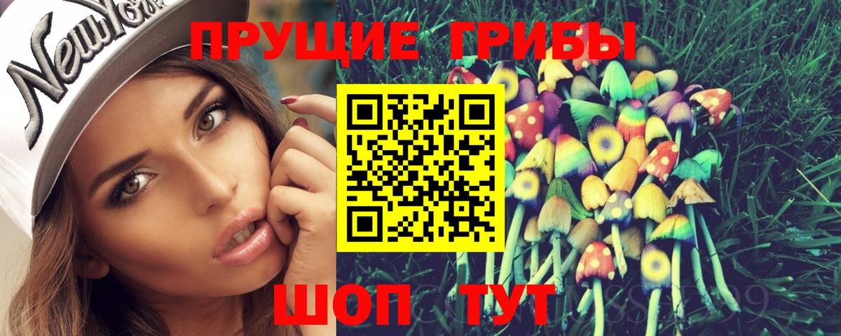 Псилоцибиновые грибы Psilocybe Ипатово