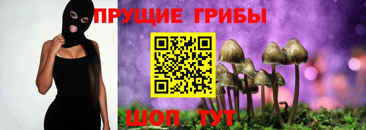 Ипатово  Галлюциногенные грибы Psilocybe  Вход с VPN 